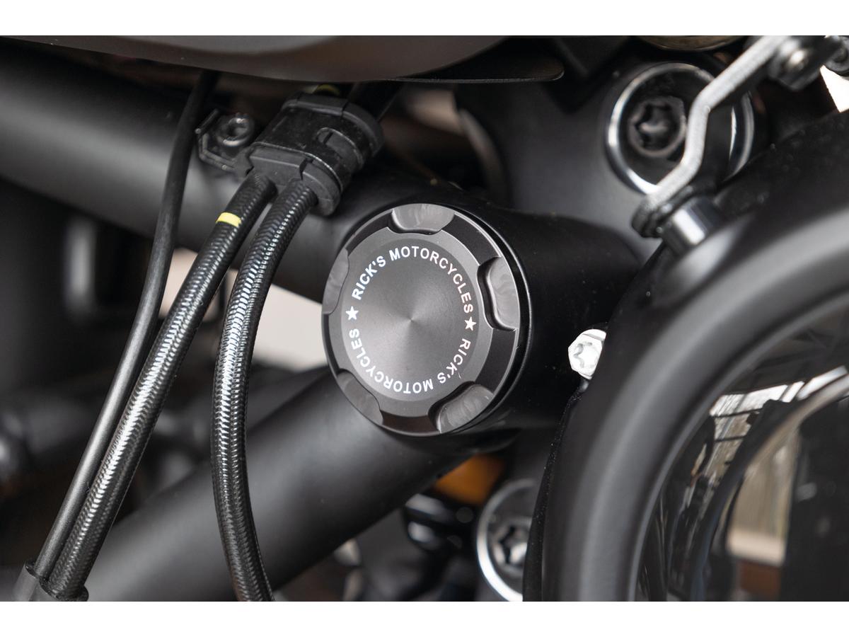 Ricks Motorcycles Premium Swing Arm Axle Cover With Ricks Logo Satin Black Powder Coated Ricks Motorcycles Default Title