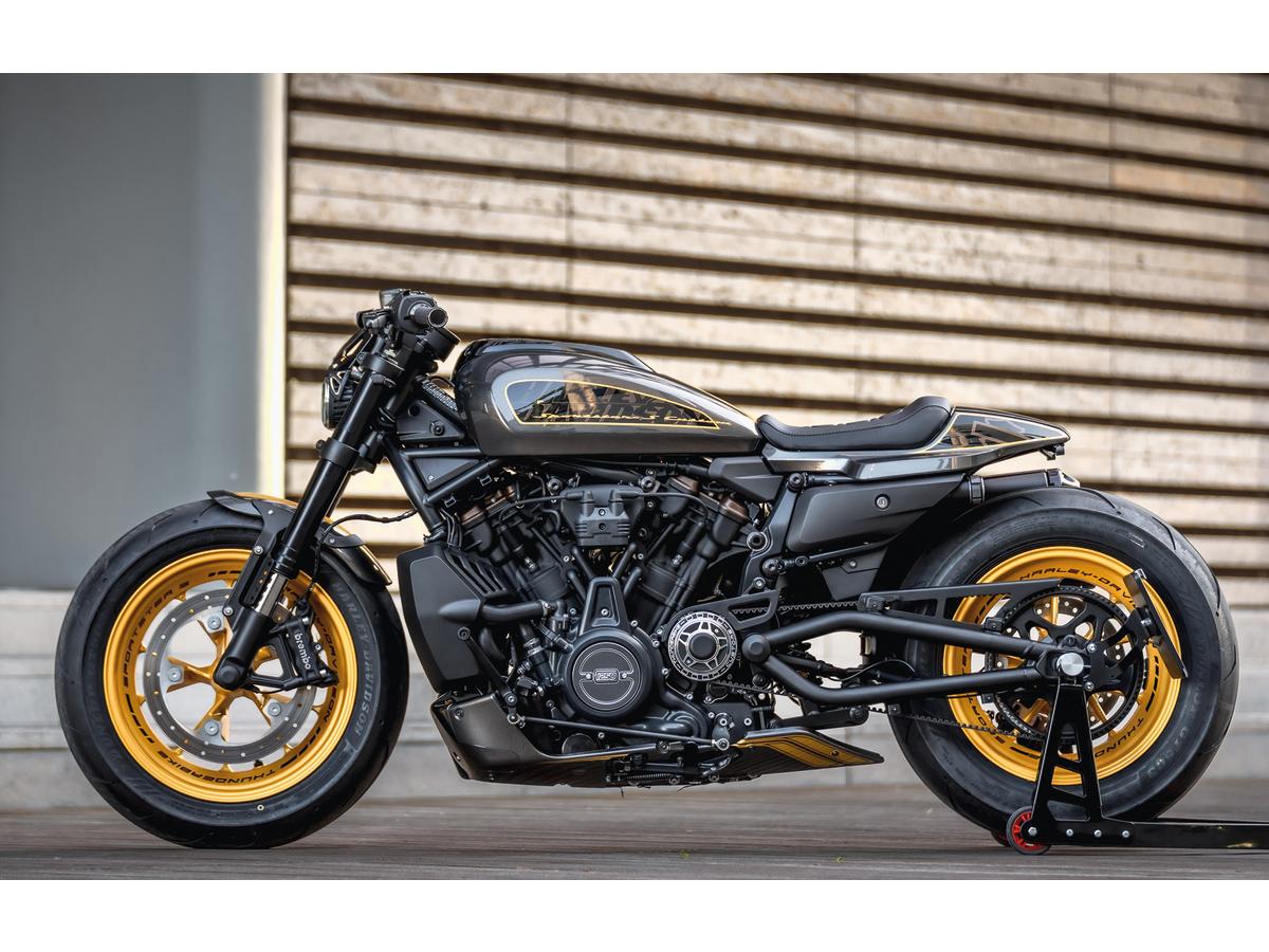 Thunderbike Belt Guard For Sportster S Flat Black Powder Coated Thunderbike