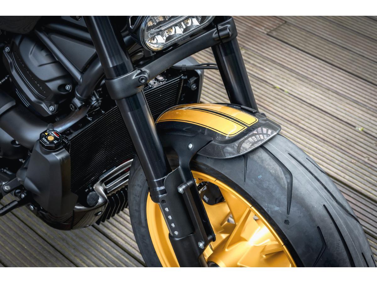 Thunderbike Gfk Front Fender For Sportster S Raw Thunderbike