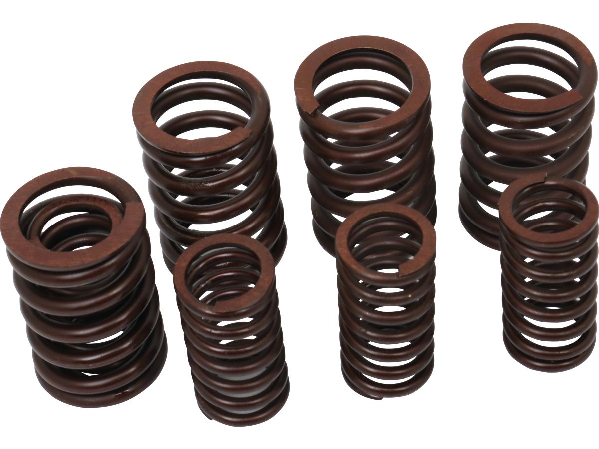 Cce Valve Spring Kit Set Of 4 Inner And Outer Valve Springs Cce Default Title