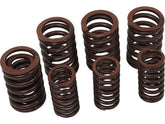 Cce Valve Spring Kit Set Of 4 Inner And Outer Valve Springs Cce Default Title