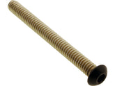 Screws4 Bikes Electronic Control Modul (Ecm) Screw Kit Satin Black Powder Coated Screws4 Bikes Default Title