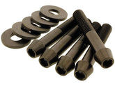 Screws4 Bikes Sprocket/Pulley Screw Kit 5 Conical Allen Head Screws, 5 Washers Titanium Satin Screws4 Bikes Default Title