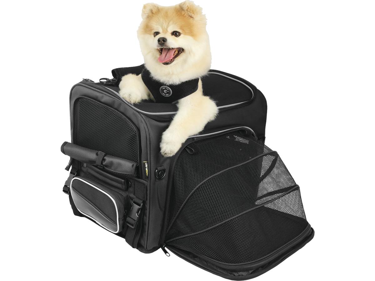 Nelson Rigg Route 1 Rover Pet Carrier Black Nelson Rigg Default Title
