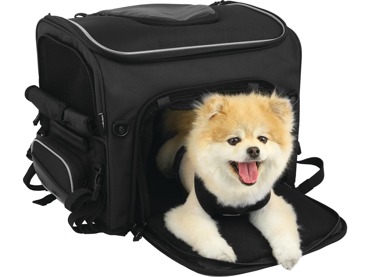 Nelson Rigg Route 1 Rover Pet Carrier Black Nelson Rigg