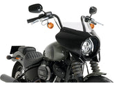 Santee Mirage Semifairing Screen Sport; Height 60 Mm X Width 280 Mm Santee Default Title