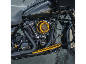 Arlen Ness Method™ Clear Series Air Cleaner Gold Arlen Ness
