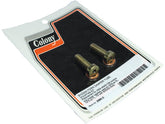 Colony Fork Damper Tube Screw And Washer Kit Chrome Colony Default Title