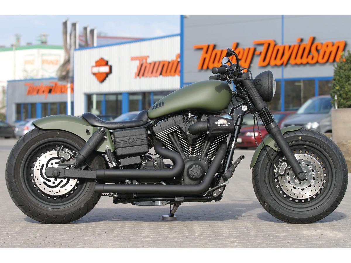 Thunderbike Rear Steel Fender For Twin Cam Dyna 200/18" Tire, With Taillight Raw Thunderbike