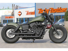 Thunderbike Rear Steel Fender For Twin Cam Dyna 200/18" Tire, With Taillight Raw Thunderbike