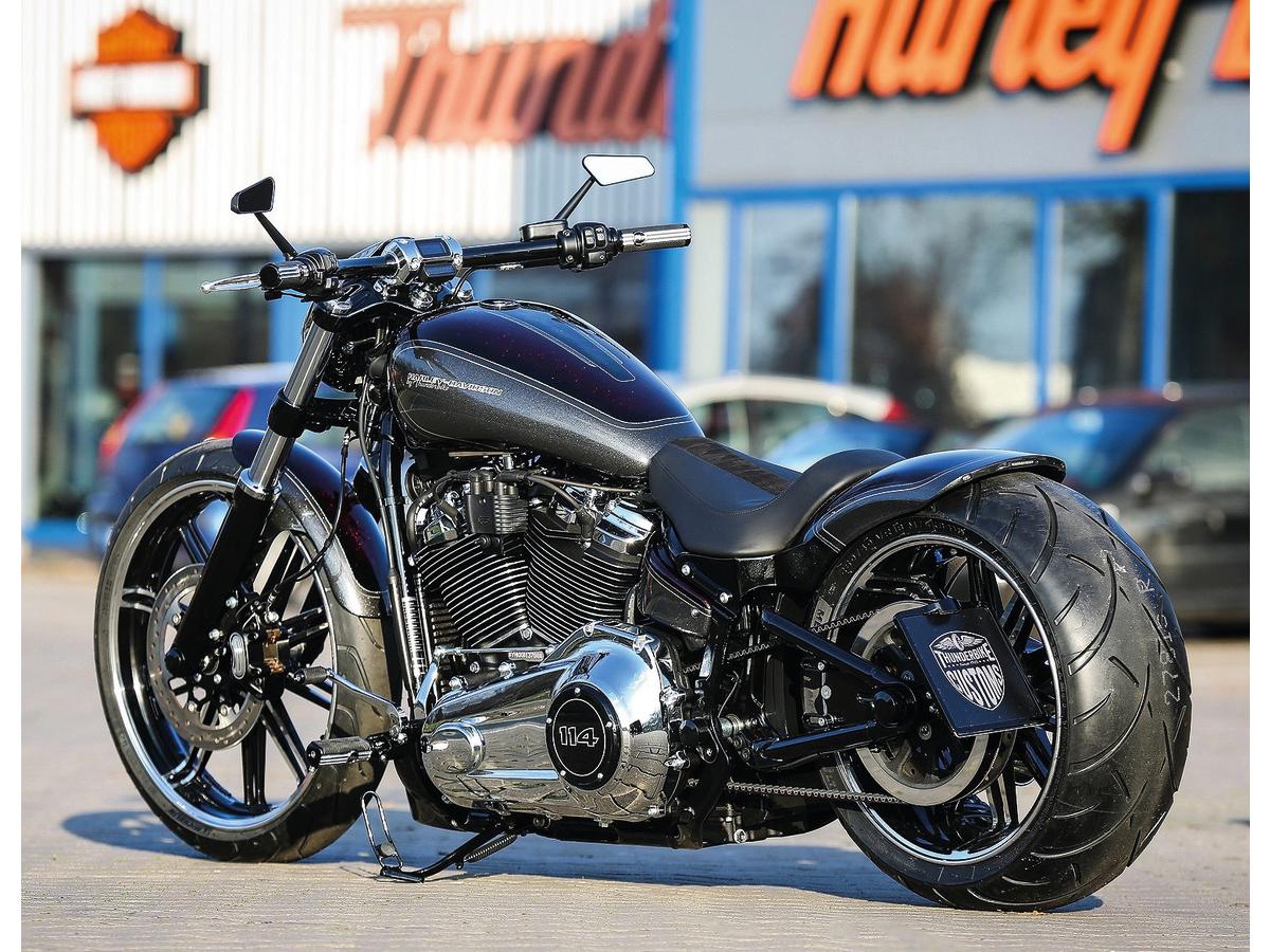 Thunderbike Rear Steel Fender For Twin Cam Dyna 260/18" Tire, With 3 In 1 Raw Thunderbike