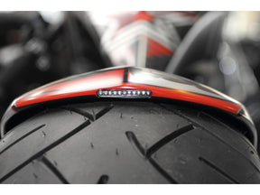 Thunderbike Rear Steel Fender For Twin Cam Softail (Narrow Frame) 200/18" Tire, With Taillight Raw Thunderbike