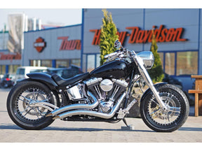 Thunderbike Rear Steel Fender For Twin Cam Softail (Narrow Frame) 200/18" Tire, With Taillight Raw Thunderbike