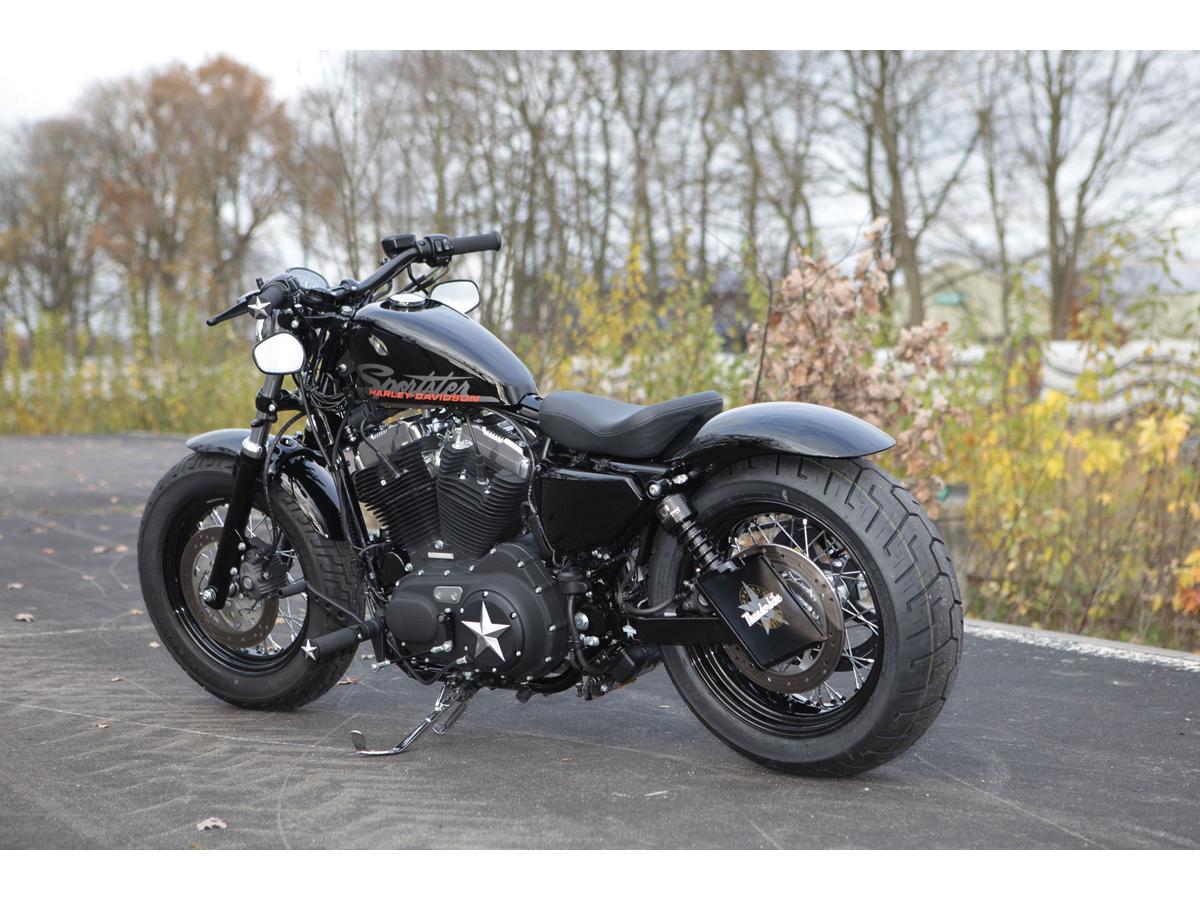 Thunderbike Rear Steel Fender For Sportster 04 Up 16" Or 17" Wheel Up To 200 Tire Raw Thunderbike