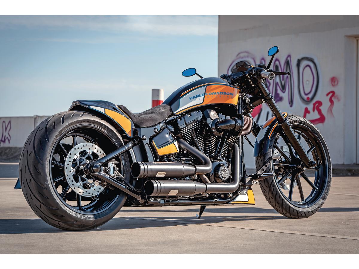 Thunderbike Gp Style Rear Fender For 240 260/18", With Taillight And Turn Signals Raw Thunderbike Default Title