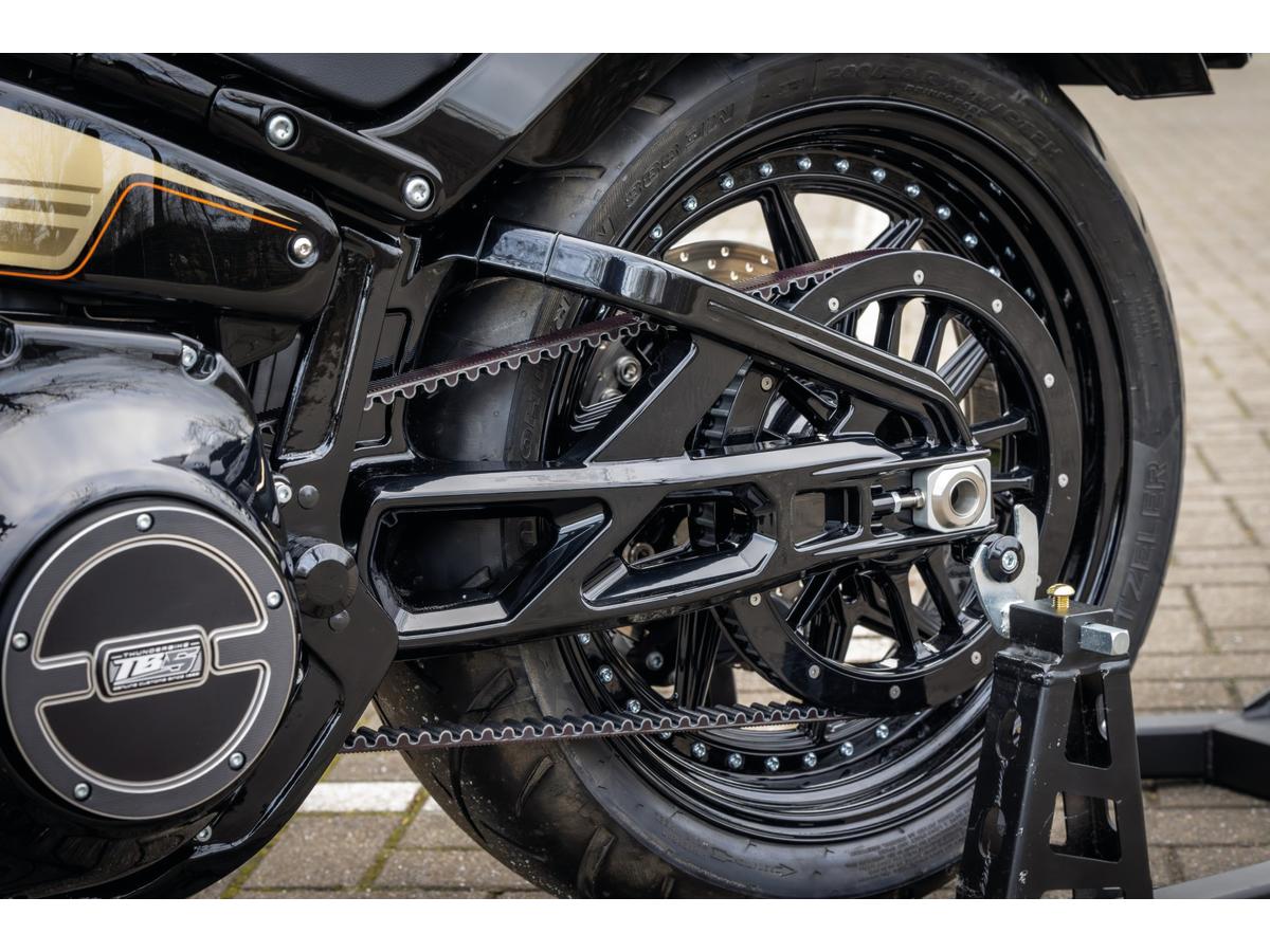 Thunderbike Pro Performance Swingarm Kit Narrow Frame: For Rear Wheels Up To 6.0 X 18 And 200/55 R18 Tires Raw Thunderbike