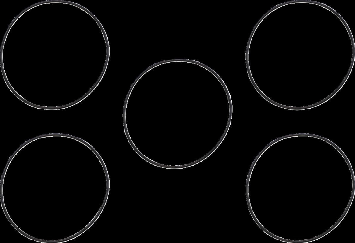 James Gasket Gasket Clutch Cover Seals-Orings & Kits James Gaskets