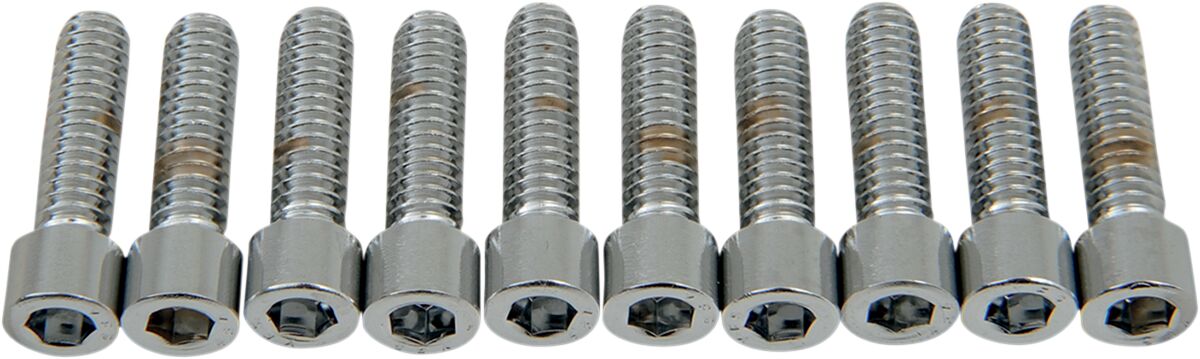 Drag Specialties 1/4 20 X 7/8 Smth Sckt Hd HARDWARE KITS - ASSORTMENTS Drag Specialties