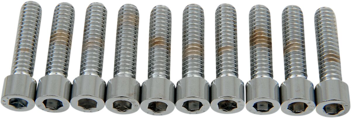 Drag Specialties 1/4 20 X 1 Smth Sckt Head HARDWARE KITS - ASSORTMENTS Drag Specialties
