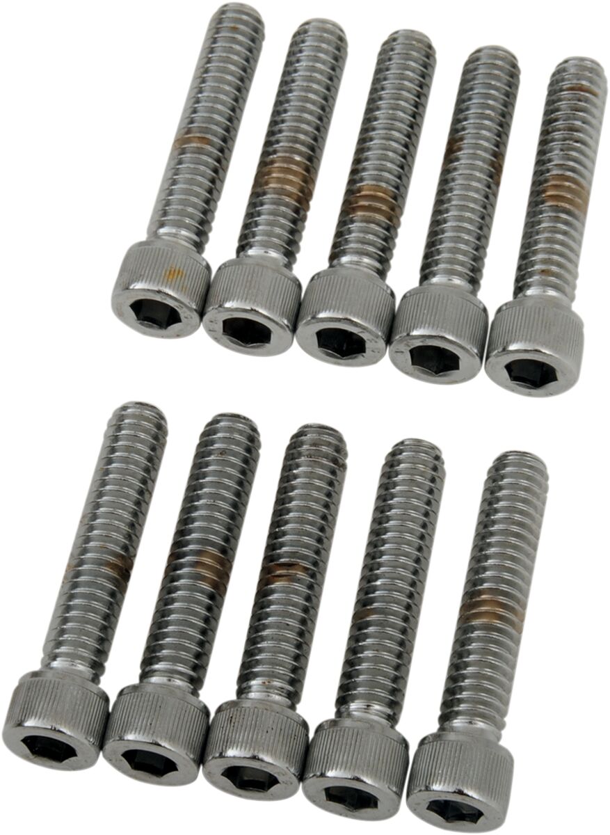 Drag Specialties 1/4 20 X 1 1/4 Sockt Head HARDWARE KITS - ASSORTMENTS Drag Specialties