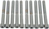 Drag Specialties 1/4 20 X 2 1/4 Smth Sckt HARDWARE KITS - ASSORTMENTS Drag Specialties