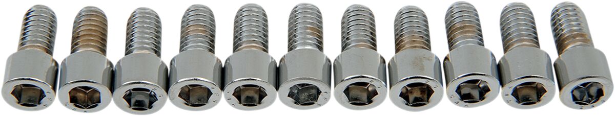 Drag Specialties 5/16 18 X 5/8 Smth Sckt HARDWARE KITS - ASSORTMENTS Drag Specialties