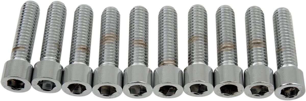 Drag Specialties 5/16 18 X 1 1/4 Smth Sckt HARDWARE KITS - ASSORTMENTS Drag Specialties