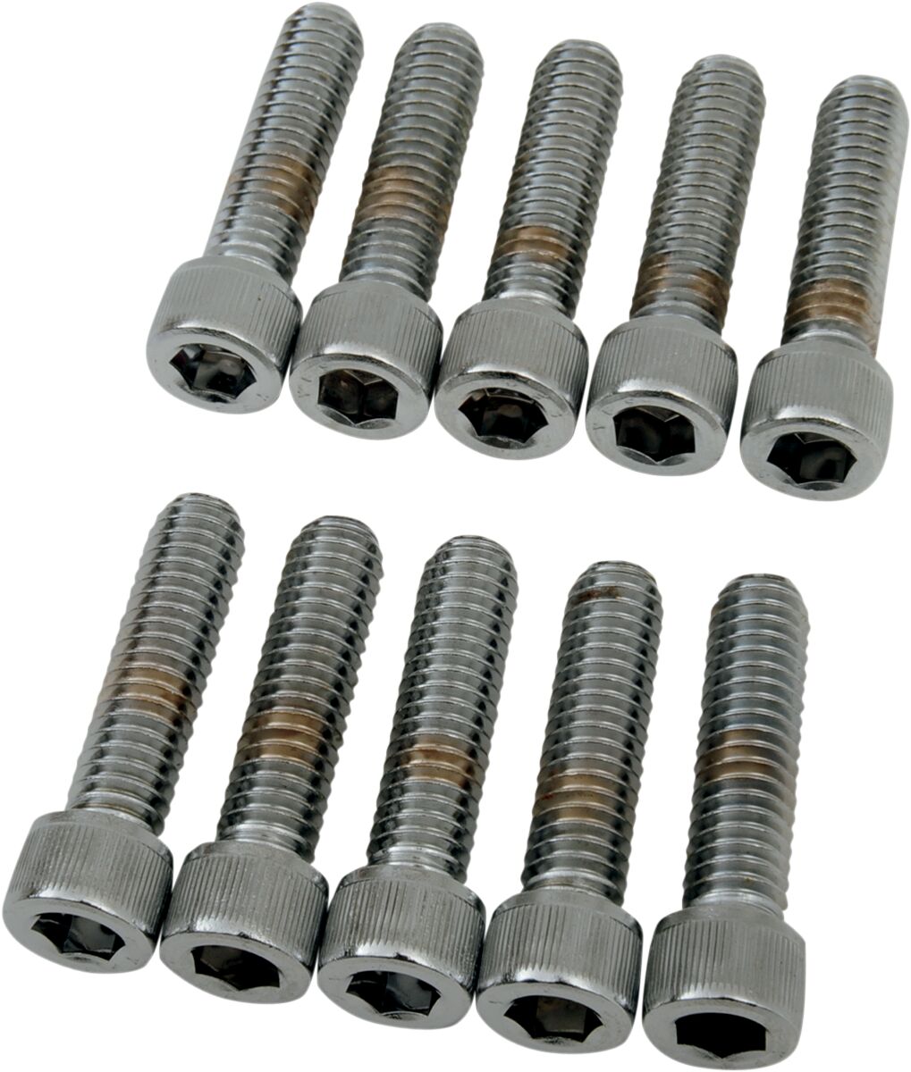 Drag Specialties 5/16 18 X1 1/4 Socket Head HARDWARE KITS - ASSORTMENTS Drag Specialties