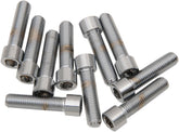 Drag Specialties 5/16 24 X 1 Smth Sckt Hd HARDWARE KITS - ASSORTMENTS Drag Specialties