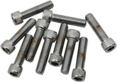 Drag Specialties 5/16 24 X 1 Socket Head HARDWARE KITS - ASSORTMENTS Drag Specialties