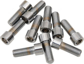 Drag Specialties 3/8 24 X 1 1/4 Smth Sckt HARDWARE KITS - ASSORTMENTS Drag Specialties