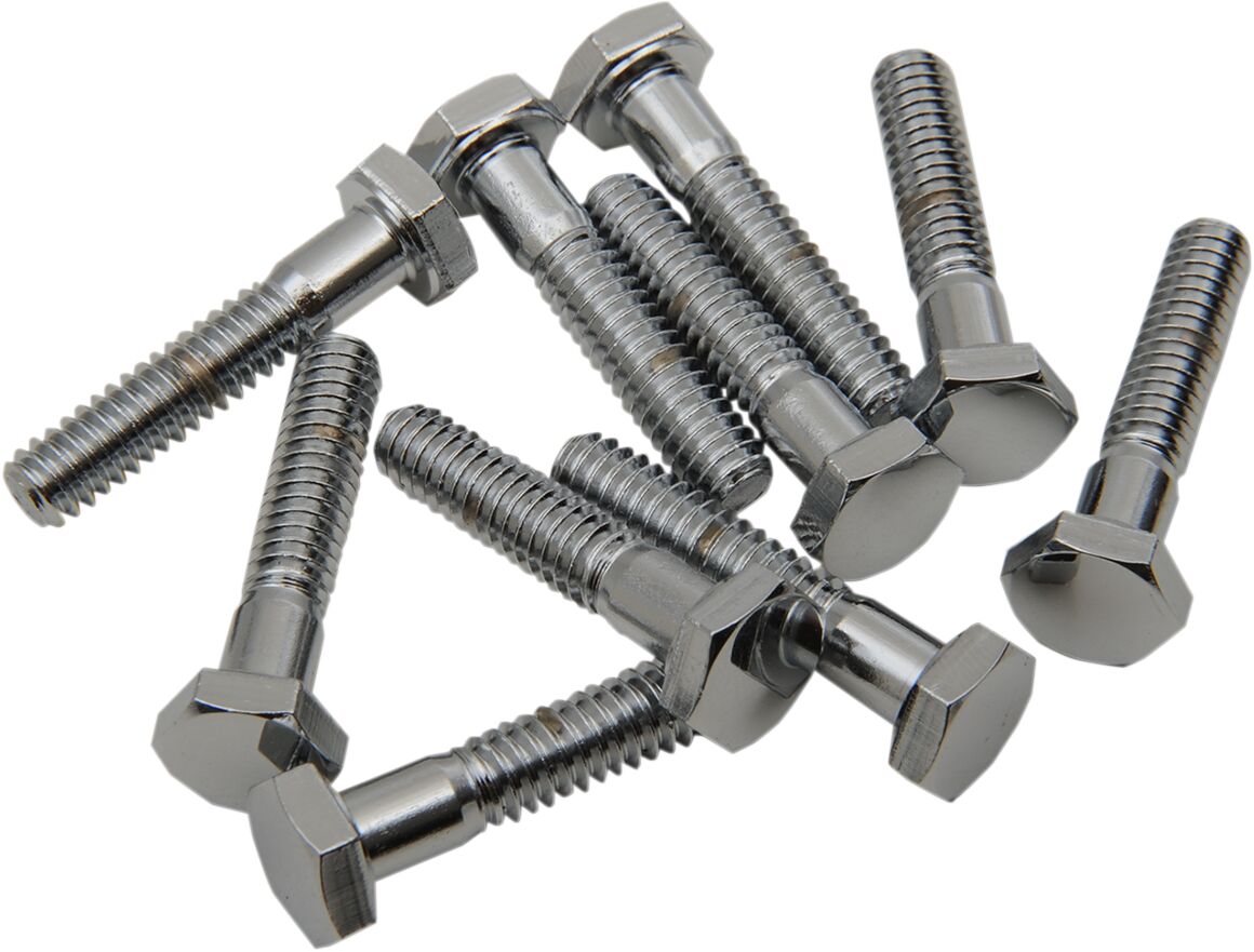Drag Specialties 1/4 20 X 1 1/4 Chr Hex Hd HARDWARE KITS - ASSORTMENTS Drag Specialties