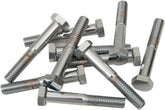 Drag Specialties 5/16 18 X2 Hex Head Chrom HARDWARE KITS - ASSORTMENTS Drag Specialties