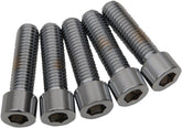 Drag Specialties 1/2 X13 X1 3/4 Socket Head HARDWARE KITS - ASSORTMENTS Drag Specialties