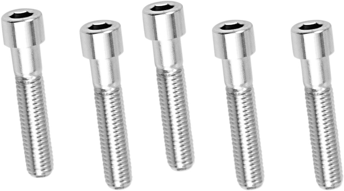 Drag Specialties 1/2 X13 X2 3/4 Socket Head HARDWARE KITS - ASSORTMENTS Drag Specialties