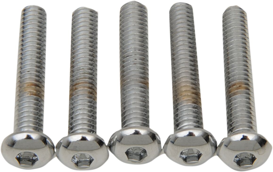 Drag Specialties 1/4 X20 X1 1/4 Button Head HARDWARE KITS - ASSORTMENTS Drag Specialties