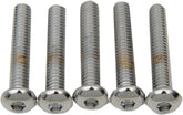 Drag Specialties 1/4 X20 X1 1/4 Button Head HARDWARE KITS - ASSORTMENTS Drag Specialties