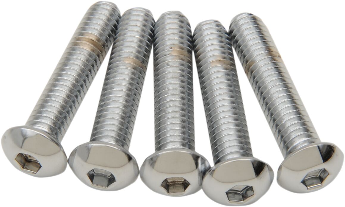 Drag Specialties 5/16 X18 X2 Button Head HARDWARE KITS - ASSORTMENTS Drag Specialties