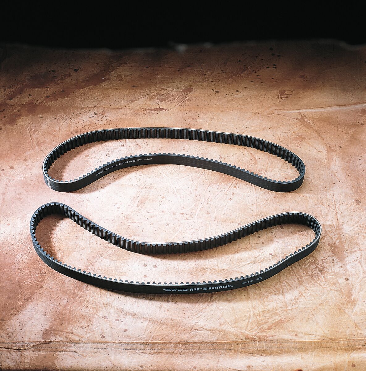 Panther Panther Rear Drive Belt 128 Teeth 1 1/8" Width Belts Rear Drive Panther