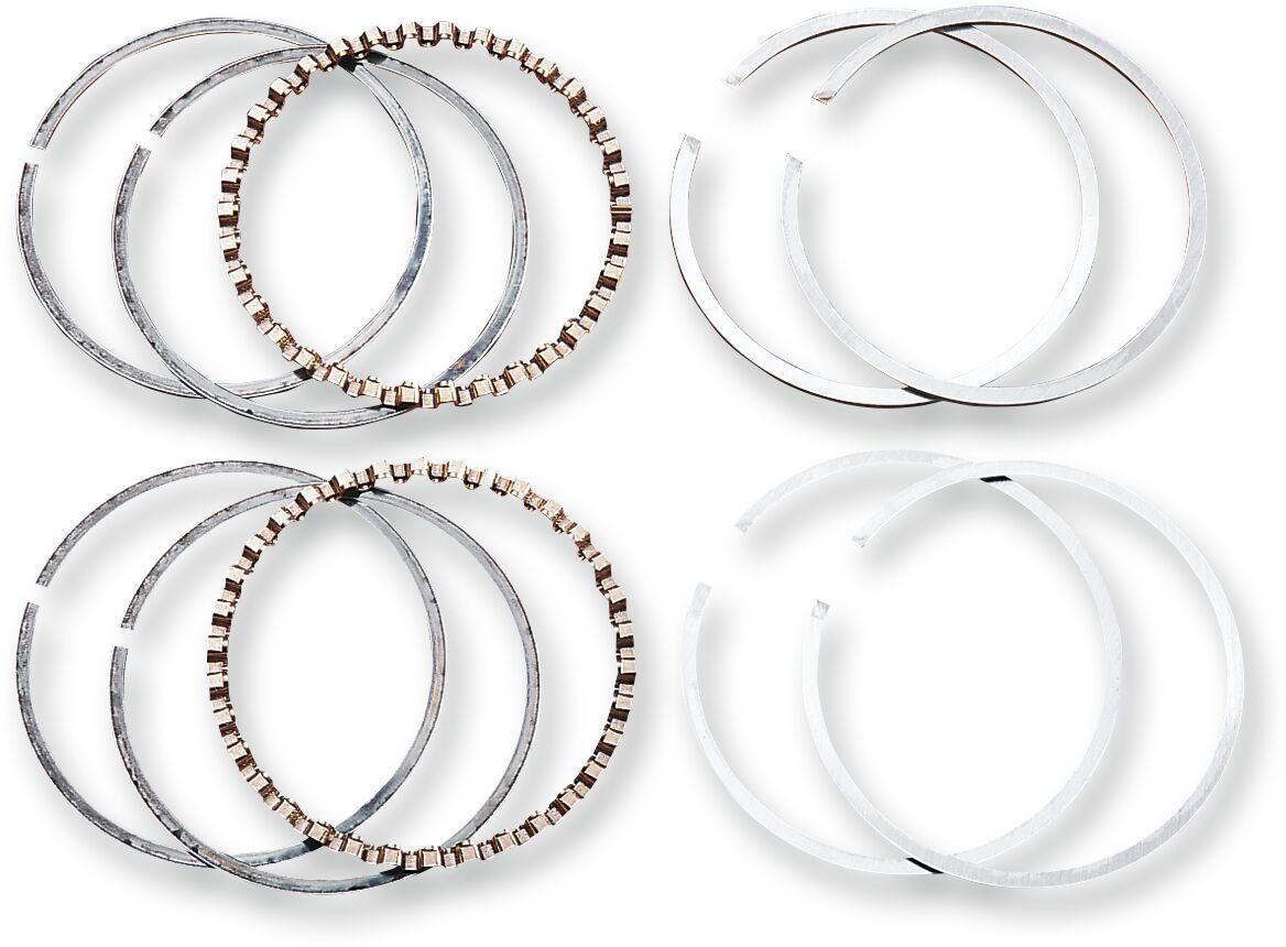 Hastings Rings 80 Ev+010 RINGS ONLY Hastings