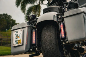 Vertical Quick Disconnect License Plate Bracket - Touring