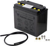 Yuasa Battery Yuasa Hd Dry Yb16 B BATTERY GROUP Yuasa