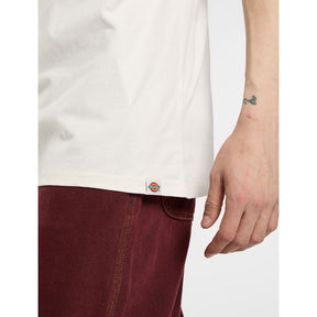 Bolivar T-Shirt, Beige T-Shirt Dickies