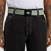 Orcutt Belt, Iceberg Green Belt Dickies