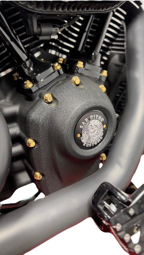 Bamco Motorsports ARP Cam Cover Bolt Kit - Milwaukee-Eight Fastener Kit Bamco Motorsports Gold Red