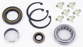 Gzp Seal, Bearing, Bushing And Lock Tab Primary Gasket & Seal Zodiac Default Title