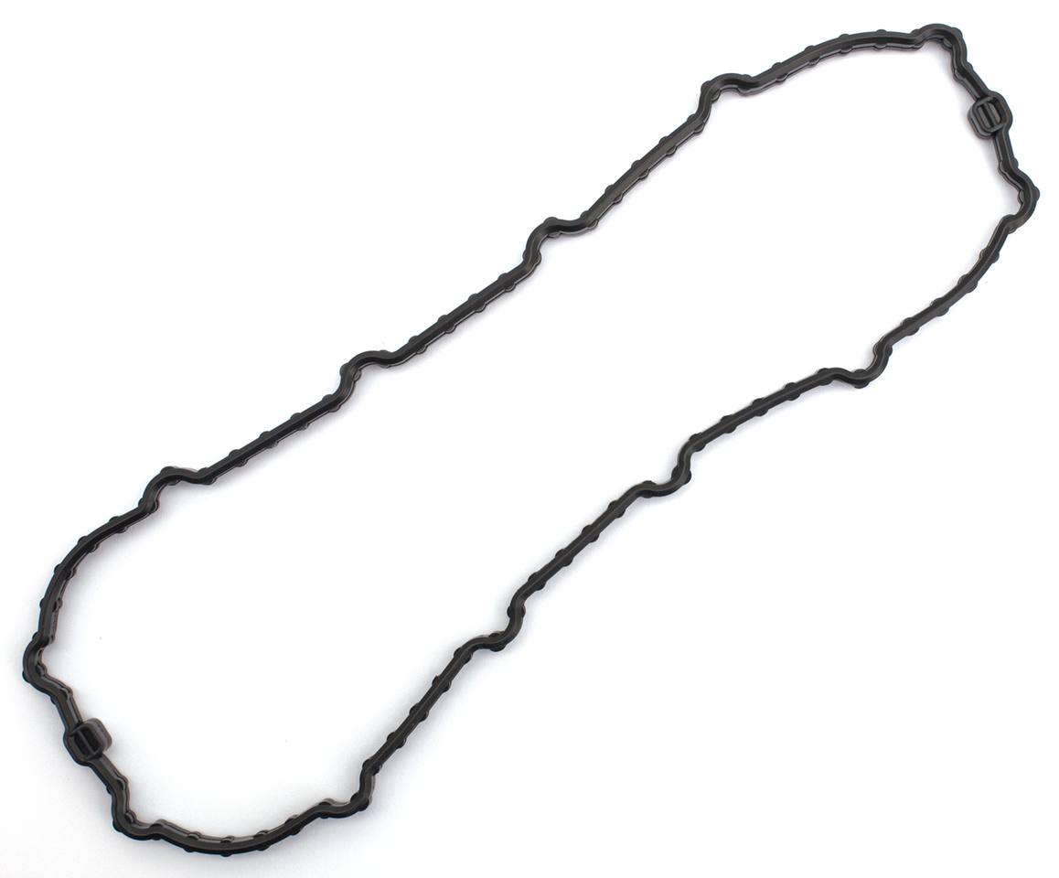 Gzp Fuel Pump Door Gasket Viton Fuel Pump Zodiac Default Title