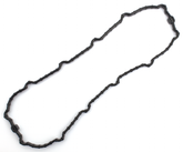 Gzp Fuel Pump Door Gasket Viton Fuel Pump Zodiac Default Title