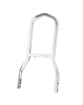 Gzp Side Straps Xl57 78 Sissy Bar Side Plate Zodiac Default Title