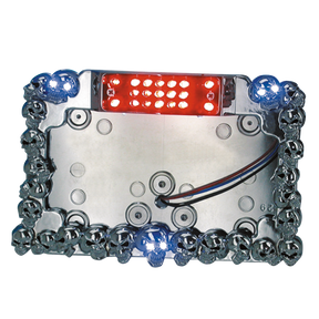 Gzp Licenceplate Led Chr/W Skulls Side M Taillight With License Plate Mount Zodiac
